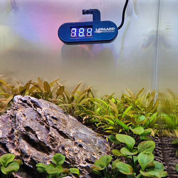 E-Z READ POND THERMOMETER - Lifegard Aquatics