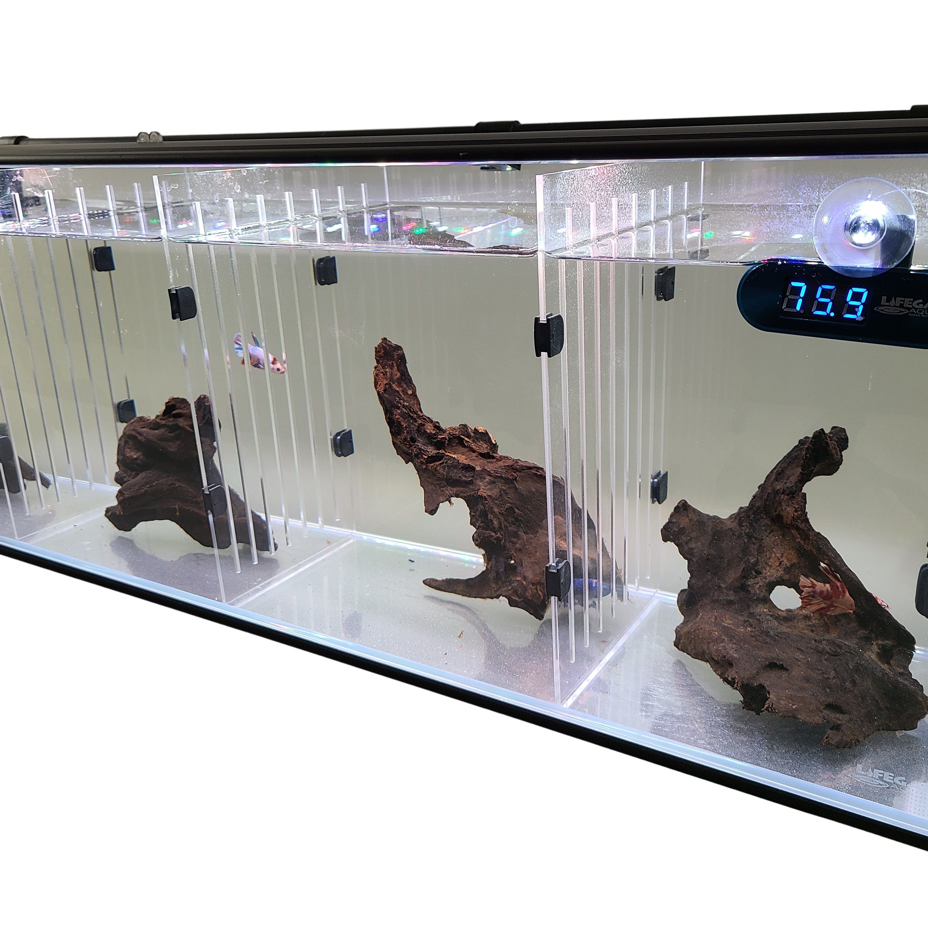 Acrylic Divider Plate for 6 Gallon Bookshelf Aquariums - CLEAR