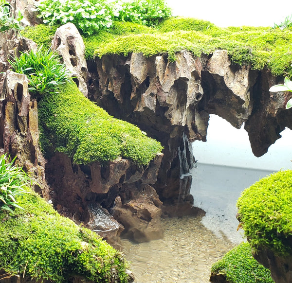 Dragon Ohko Rocks - Lifegard Aquatics