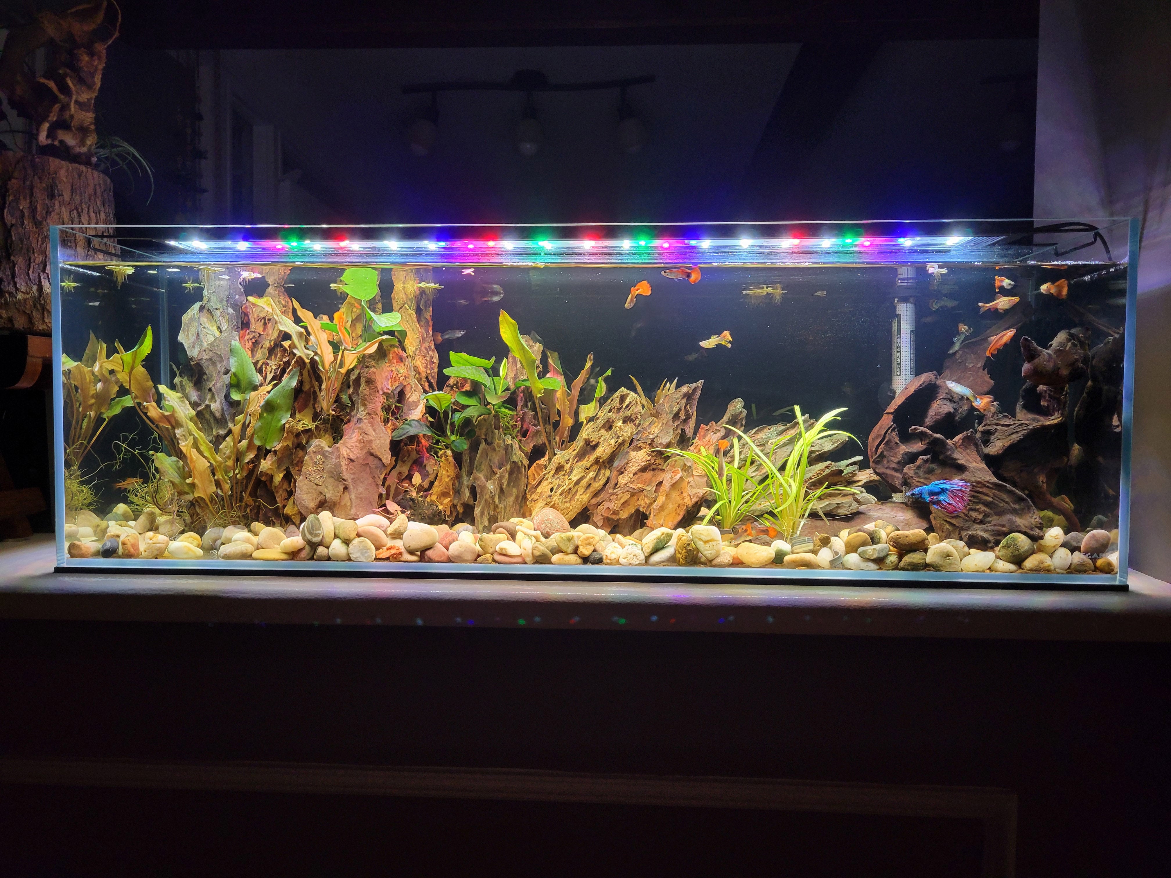 11 Gallon Ultra Low Iron Glass Bookshelf Aquarium Kit 5mm (31.88