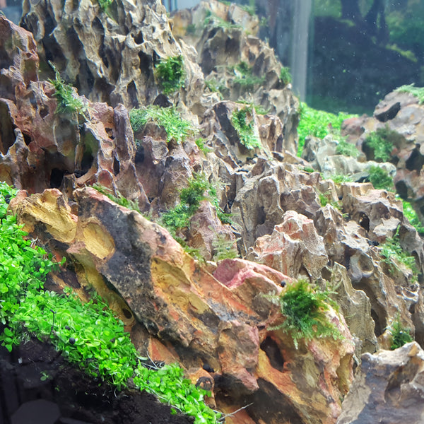 Dragon Ohko Aquascaping Rock 44 Lbs. Large Rock Case - Lifegard Aquatics