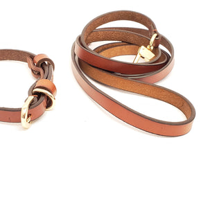 Dog Leash and Collar Set Brown - Small