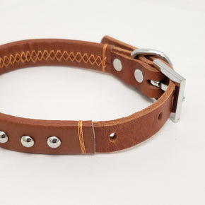 Leather Dog Collar with Single Line of Silver Chrome Buttons - Dark Brown - Small