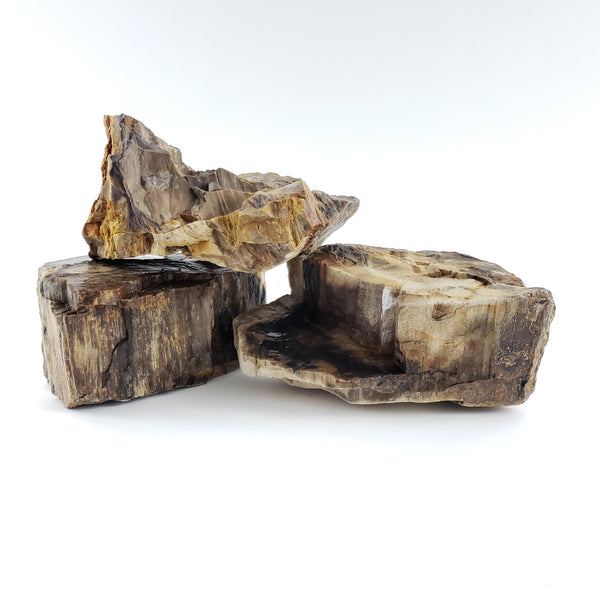 Burma Petrified Stone 10 Gallon Kit-Approximately 2-Medium/5-Small Roc -  Lifegard Aquatics