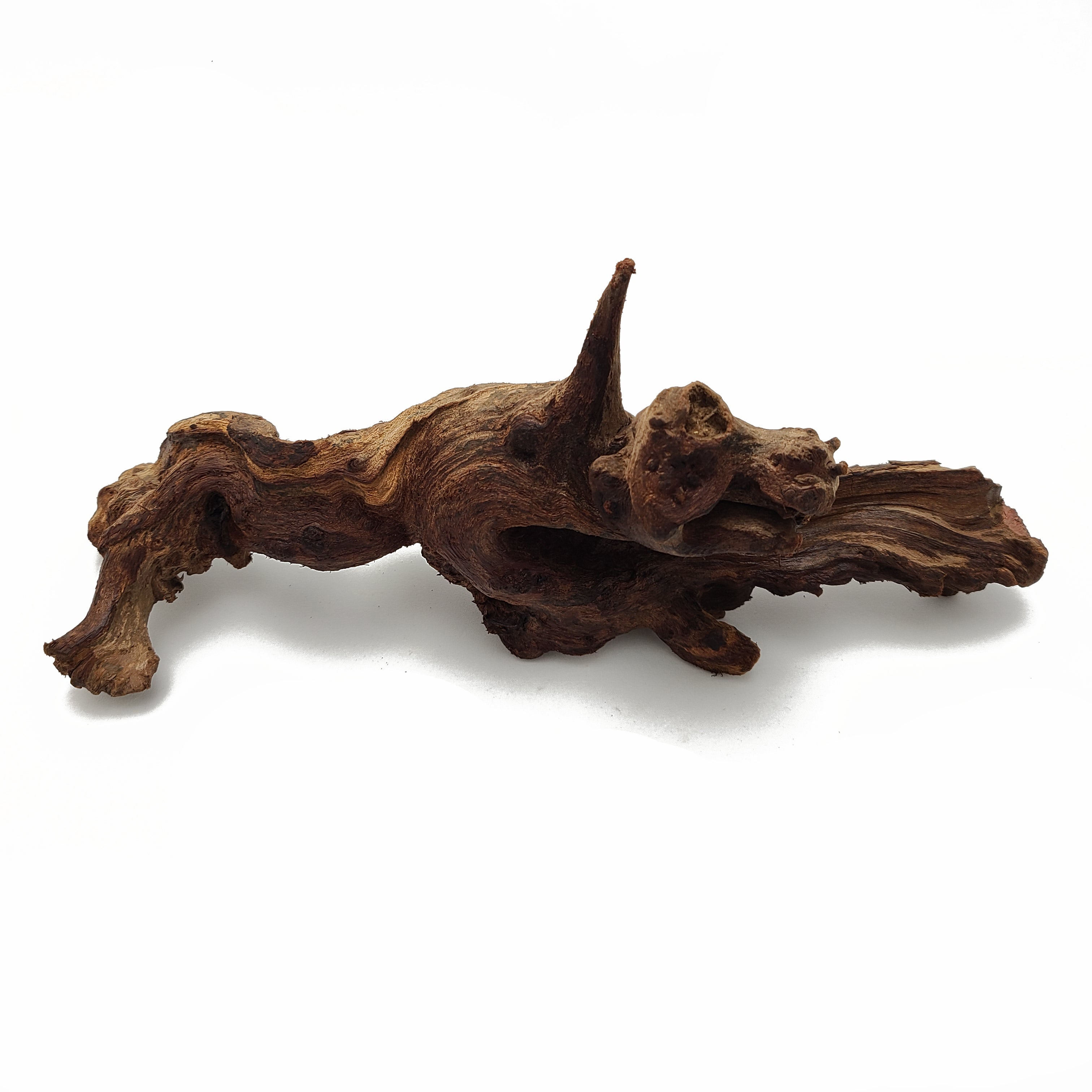 Aquascaping Heavy Drift Wood 8