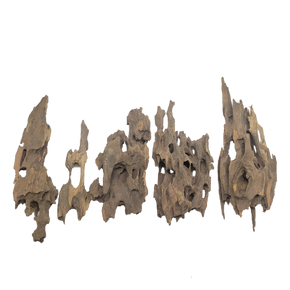 Dragon Wood Pack