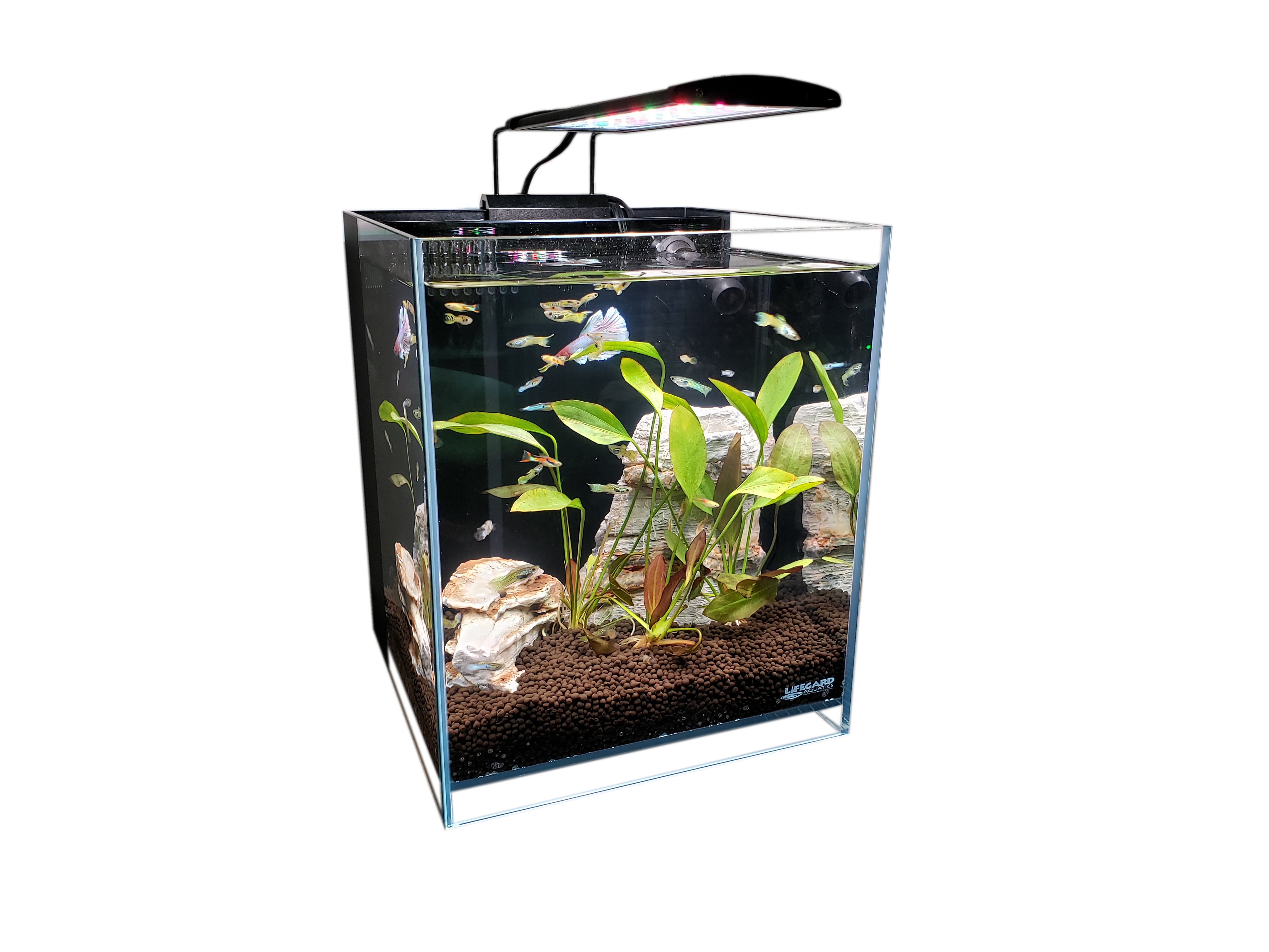 8.3 Gallons 45° Beveled Edge Low Iron Ultra Clear Aquarium - 11.81
