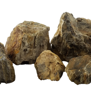 Canyon Petrified Stone - 44 Lbs box of LARGE size stones