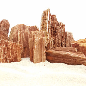 Redwood Petrified Stone 10 Gallon Kit-Approximately 3-Medium/6-Small Rocks