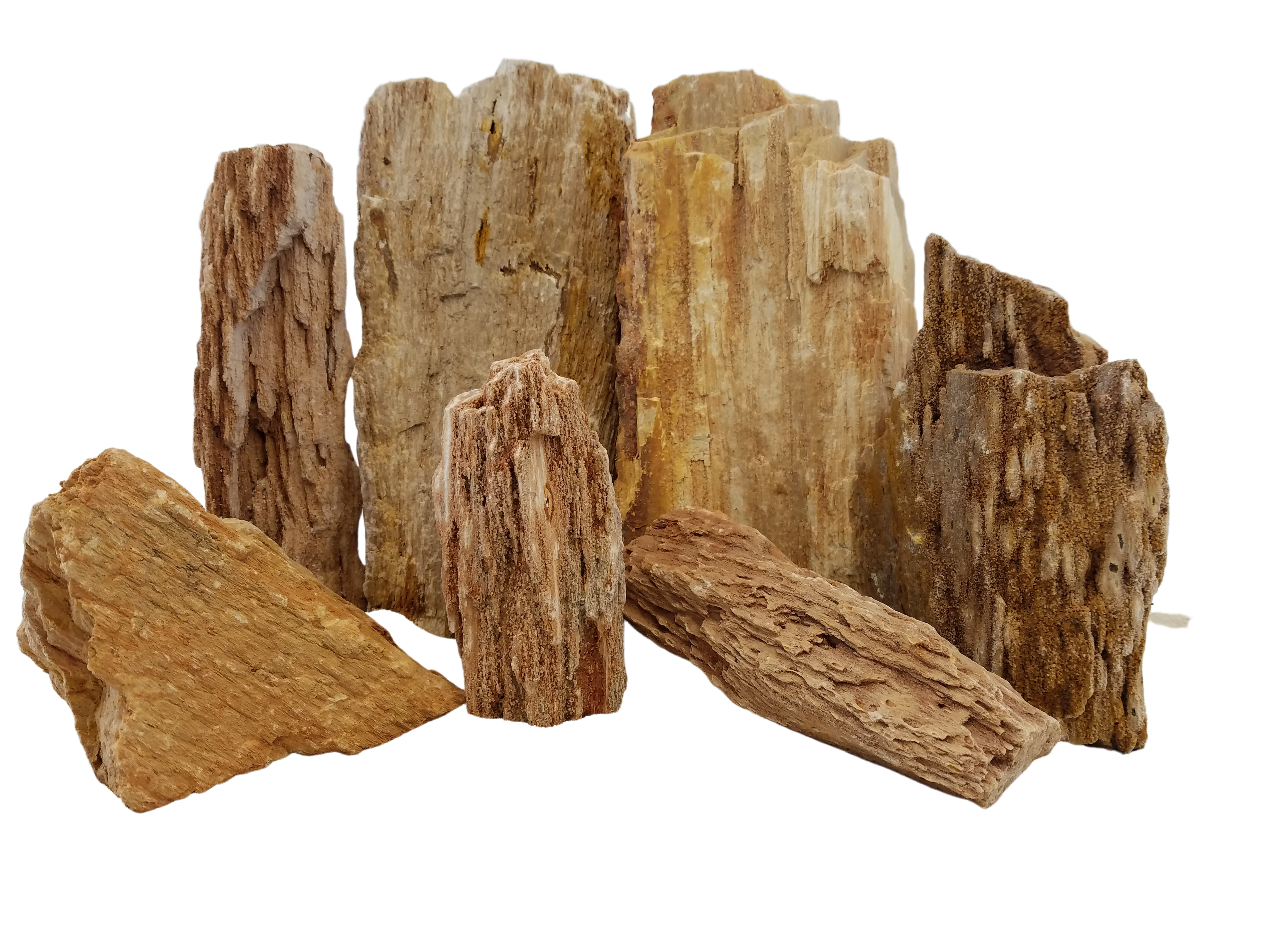 Burma Petrified Stone - 44 Lbs box of MEDIUM size stones