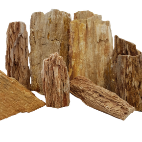 Burma Petrified Stone - 44 Lbs box of MEDIUM size stones