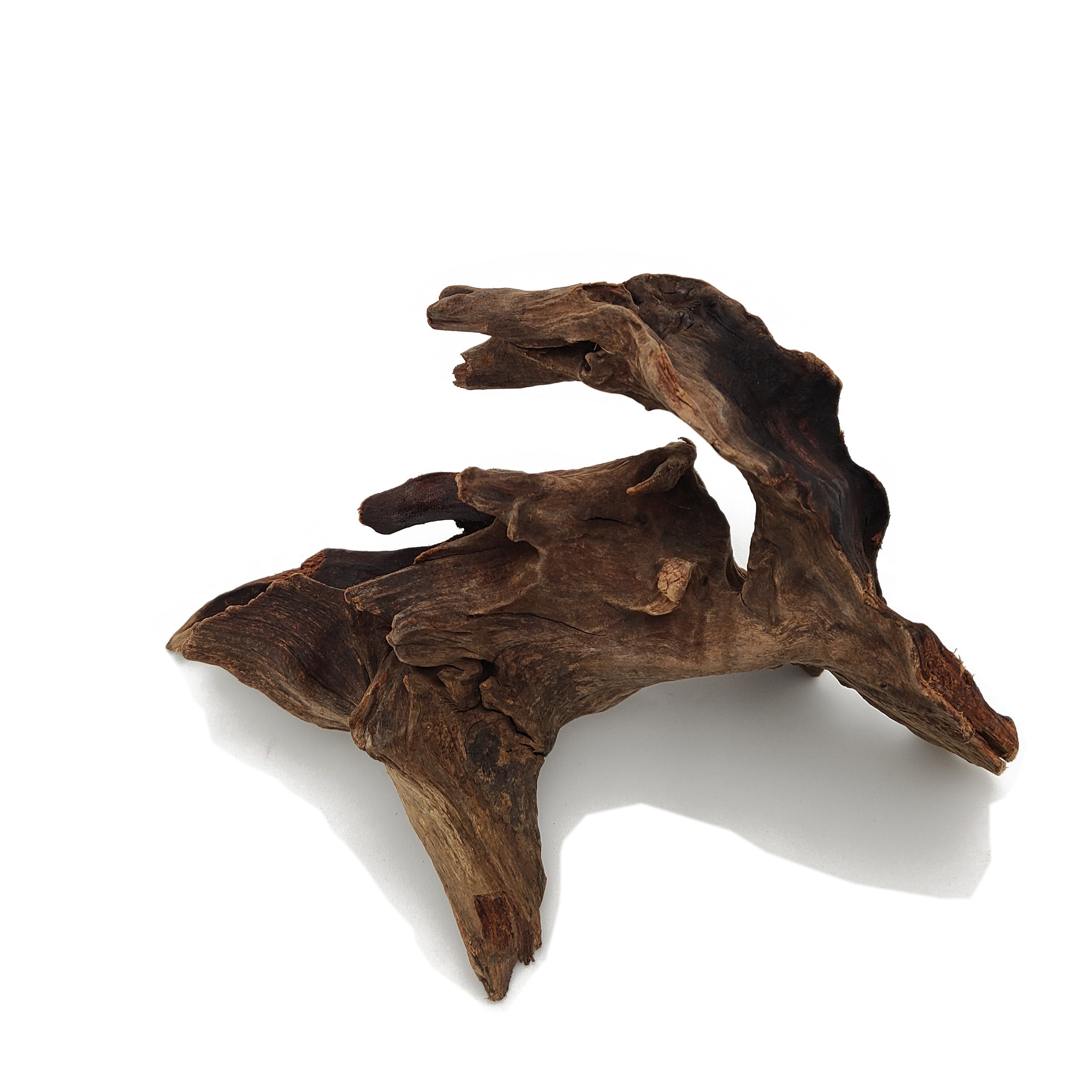 Drift Wood-Approximate Size 5