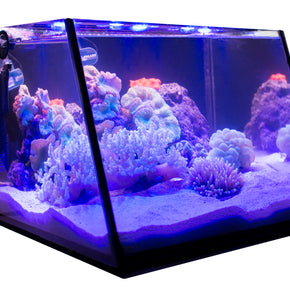 Lifegard Full-View 7 Gallon Aquarium with LED Light and Submersible Filter