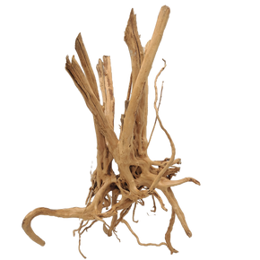 Spiderwood Tree Stump