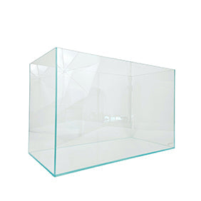 Rimless Tanks Aquatics