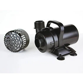 PG Pumps Aquatics
