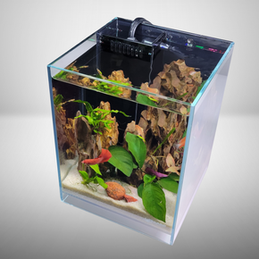 2.65 Gallons Betta 45° Degree Low Iron Ultra Clear Aquarium - 7.87" x 7.87" x 9.84"