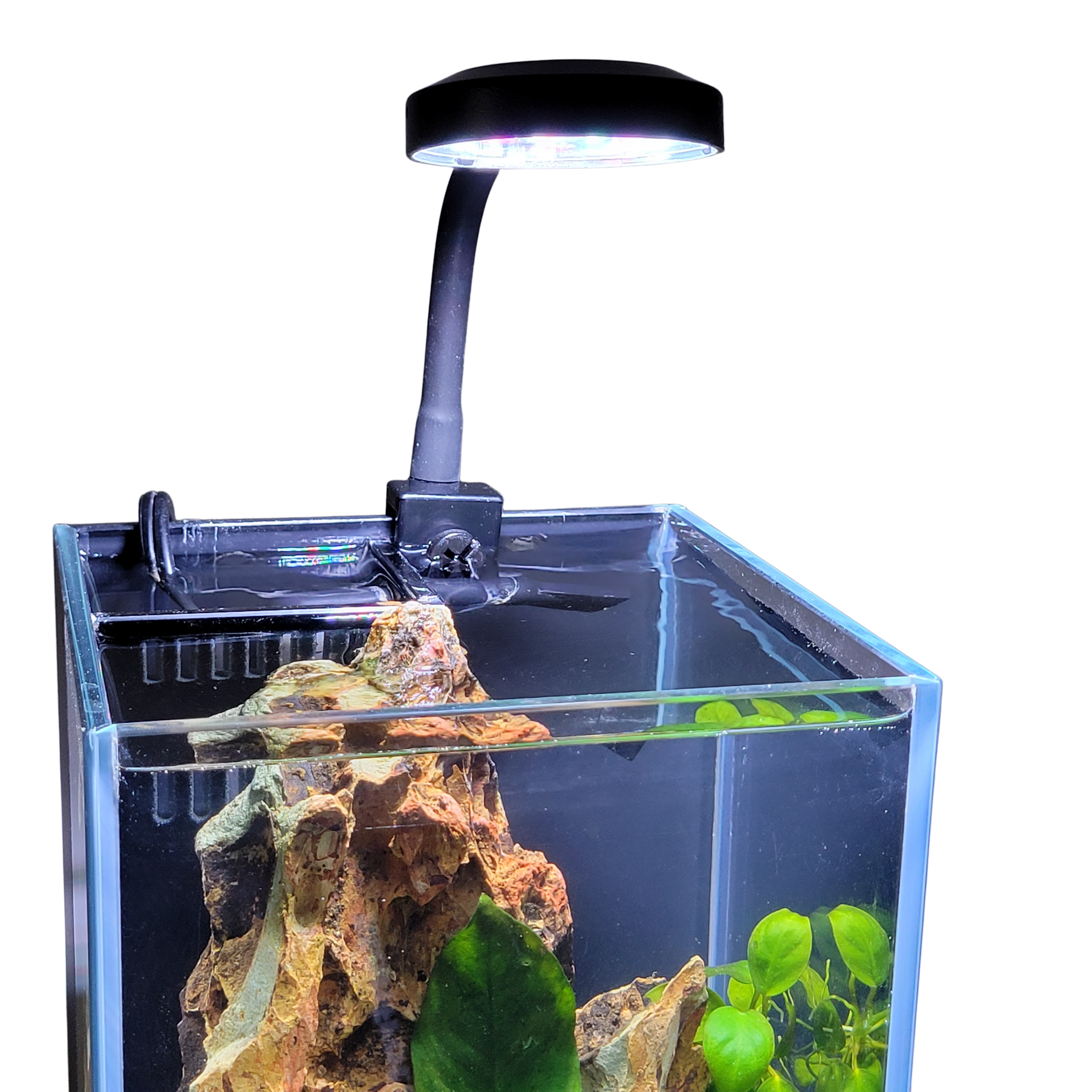 Betta fish led light deals