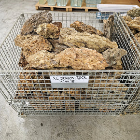 Dragon Ohko Aquascaping Rock X Large 14" to 18" Size Rocks