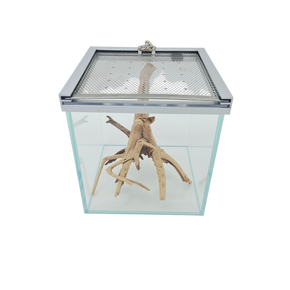 Lifegard Low Iron Glass 3 Gallon Rimless Cube Terrarium