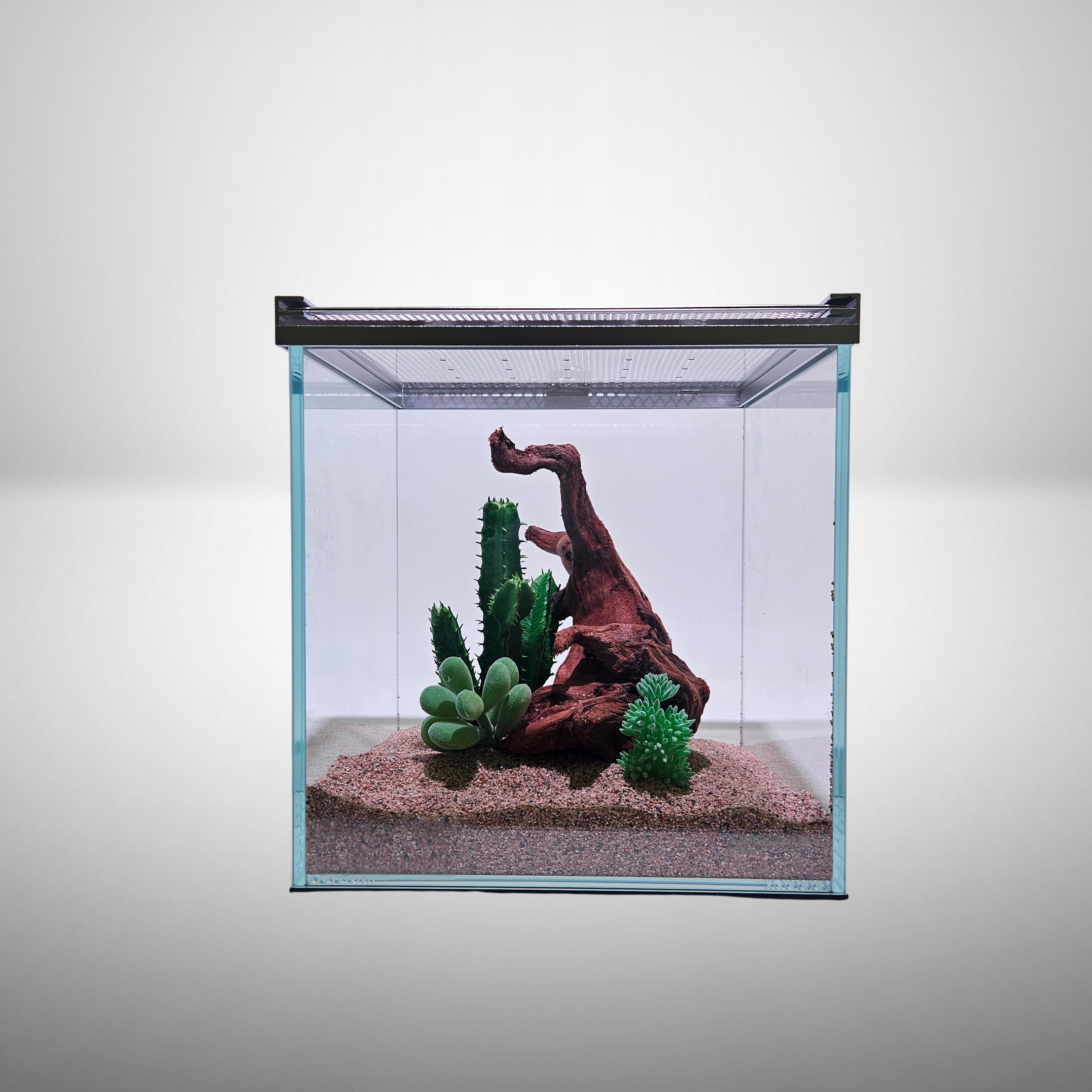 Lifegard Low Iron Glass 1 Gallon Rimless Cube Terrarium Lifegard Low Iron Glass 1 Gallon Rimless Cube Terrarium