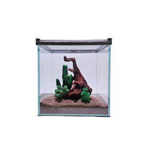 Lifegard Low Iron Glass 3 Gallon Rimless Cube Terrarium