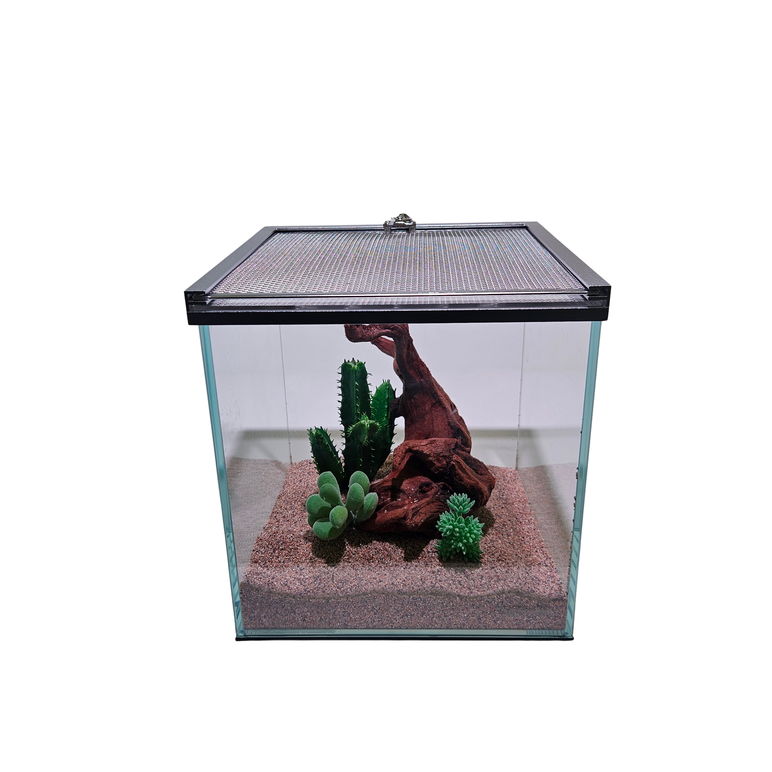 Lifegard Low Iron Glass 3 Gallon Rimless Cube Terrarium
