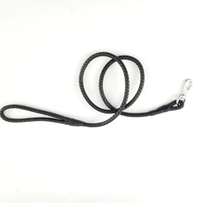 Braided Dog Leash Black - Medium
