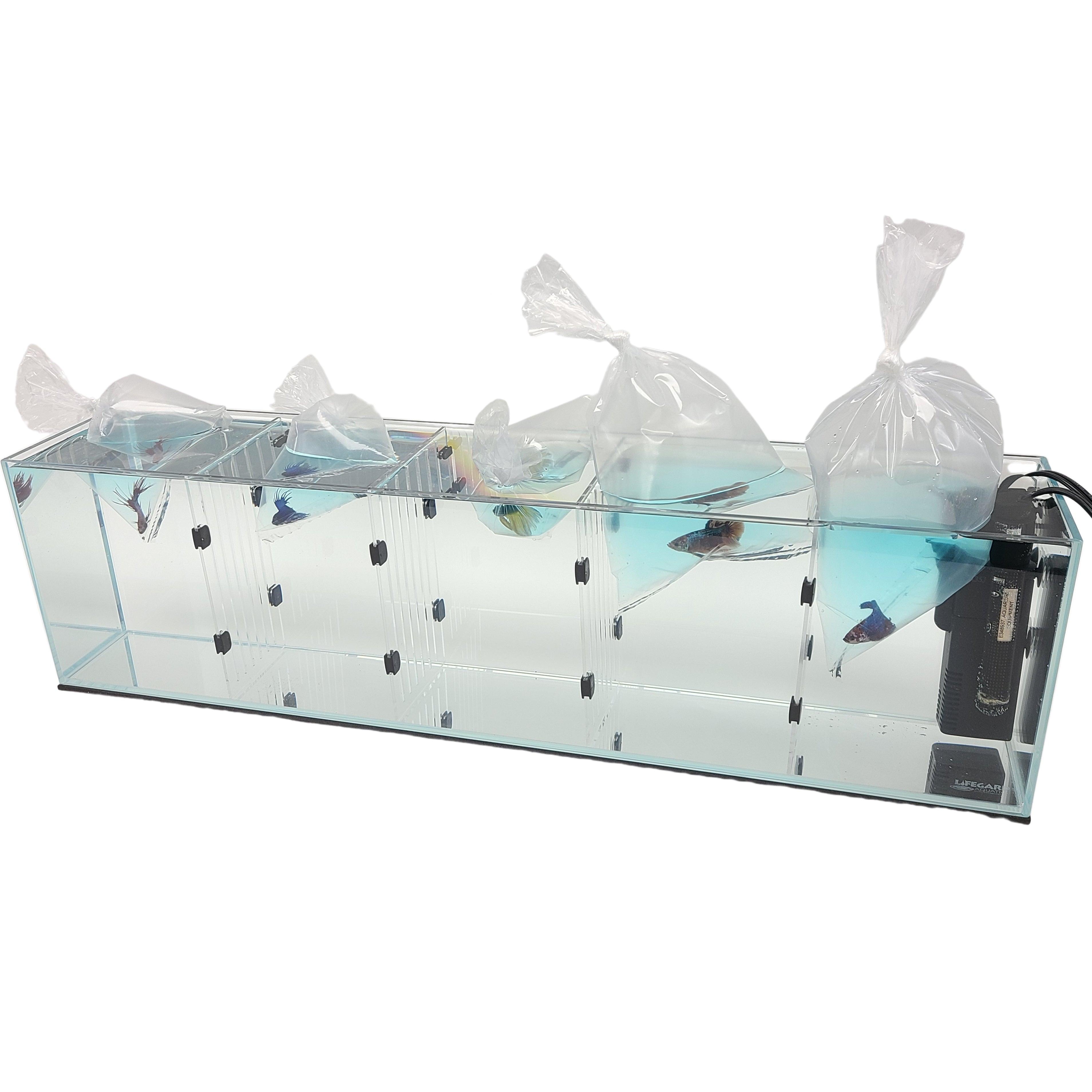 commercial fish box divider Cuyacili 2 Pack Tank Divider, Plastic Grid Cuttable Grid Plate Fish Separator with 12 Suction Cups DIY Designed Clear Easy to Bent 10 * 13in : Pet Supplies the Divider wont restrict circulation How to Make a Fish