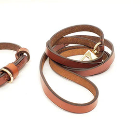 Dog Leash and Collar Set Brown - Small