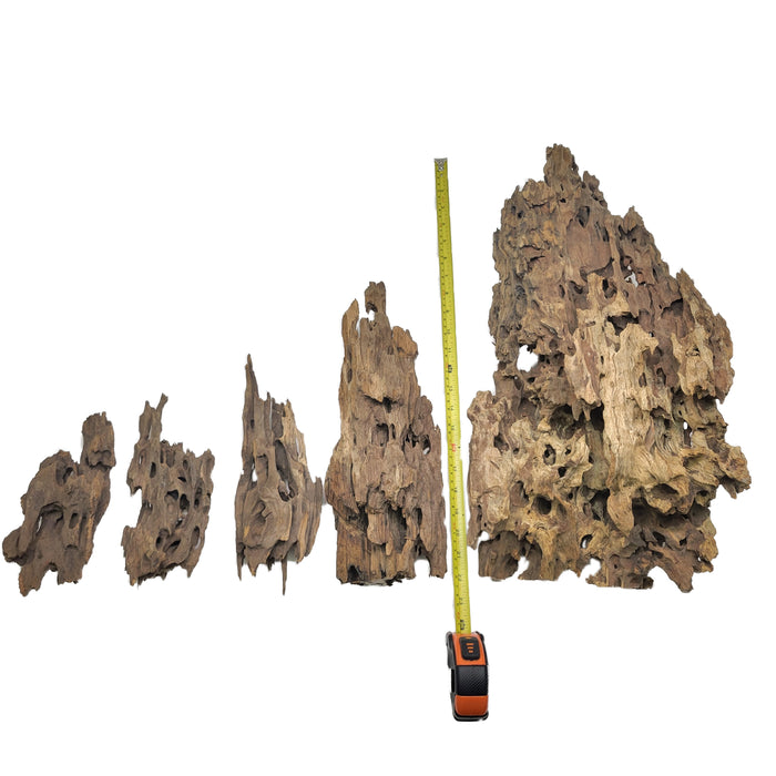 Dragon_Wood_Set_S_M_L_XL_with_