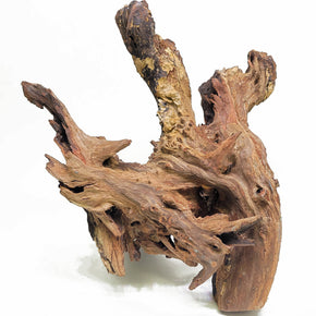 Malaysian Driftwood