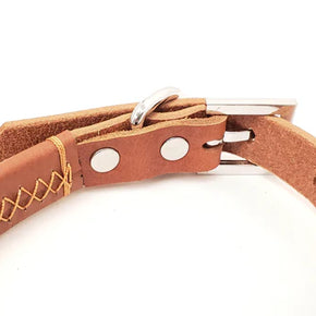 Leather Dog Collar with Single Line of Silver Chrome Buttons - Dark Brown - Small