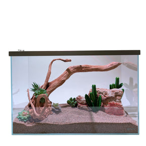 Lifegard Low Iron Glass 20 Gallon Rimless Long Terrarium