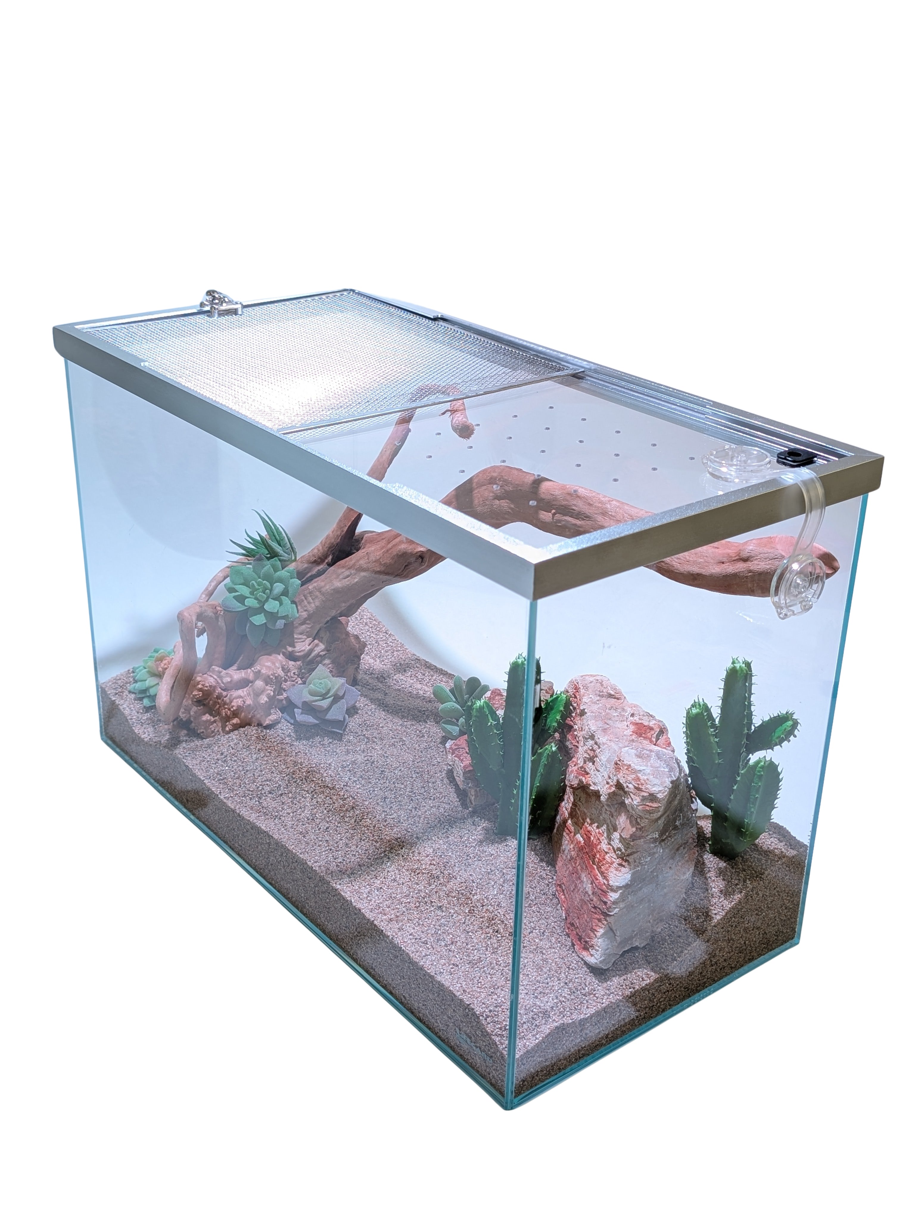 10 gallon plant terrarium Lifegard Clear Glass 10 Gallon Rimless Terrarium