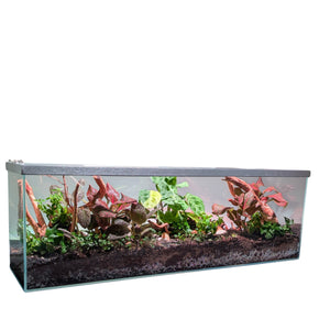 Lifegard Low Iron Glass 22 Gallon Long Terrarium Kit