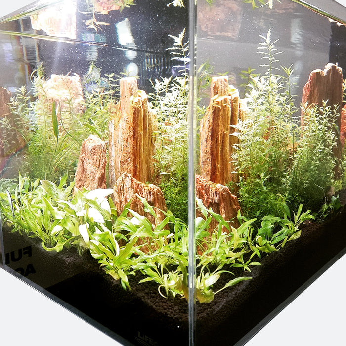 R460011-2_700x_crop_center.jpg