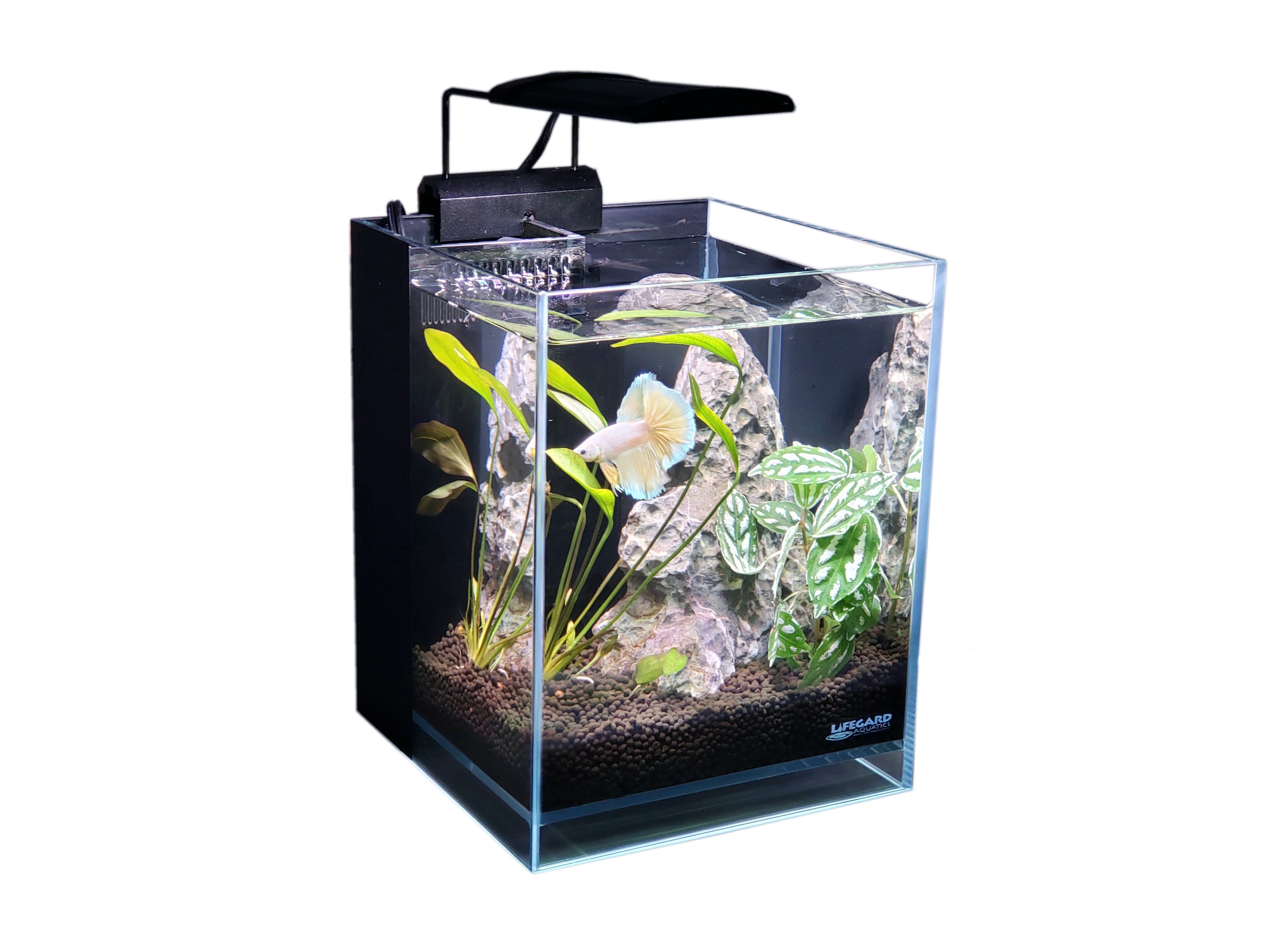 Lifegard Ultra Clear Crystal Aquarium with Built-in Filter Lifegard Ultra Clear Crystal Aquarium with Built-in Filter
