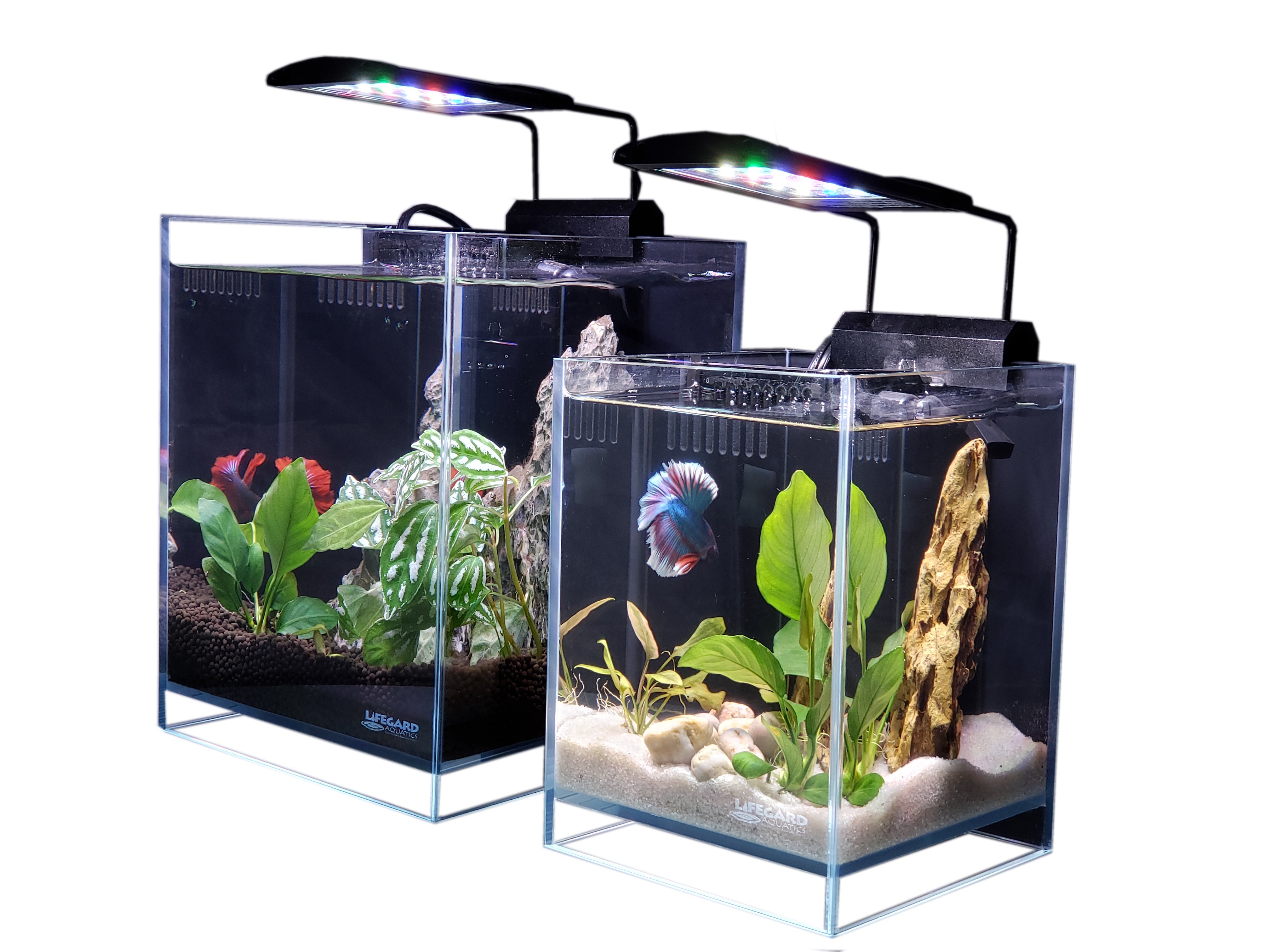 Lifegard Ultra Clear Crystal Aquarium with Built-in Filter