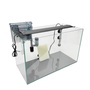 10 Gallon Rimless Clear Glass Aquarium Kit 5mm (20.07"x9.84"x12.60")