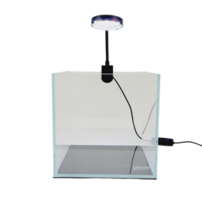 1 Gallon Low Iron Ultra Clear Glass Cube Betta Tank 5MM  6.7 x 6.7 x 6.7 Inch