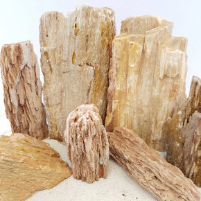 Burma Petrified Stone 25 Gallon Kit-Approximately 1-Large/2-Medium/6-Small Rocks