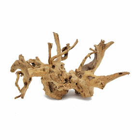 Small Spider Wood / Cuckoo Root