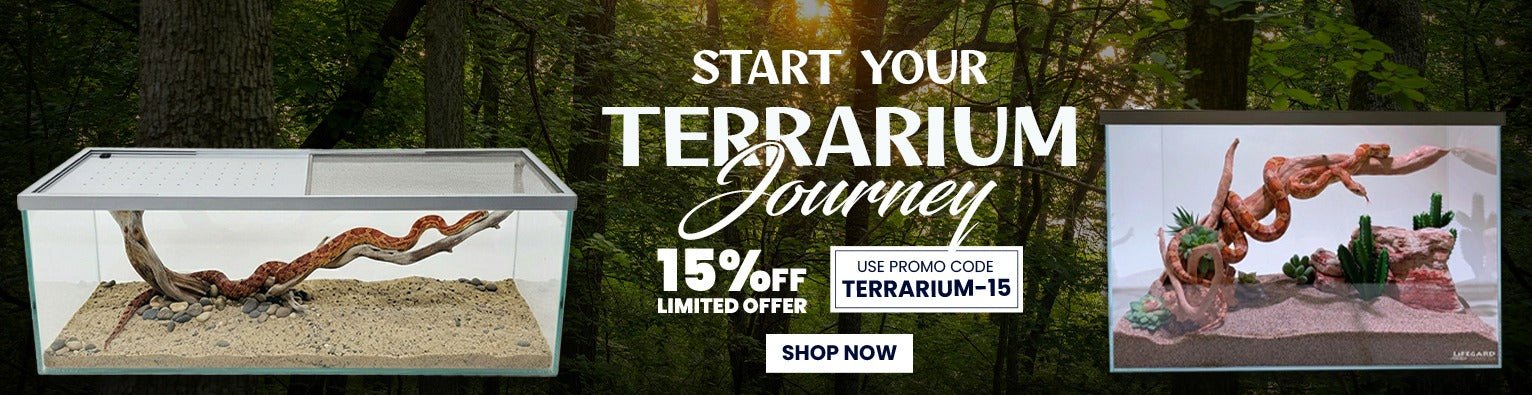 /collections/terrarium