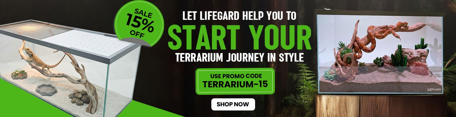 /collections/terrarium