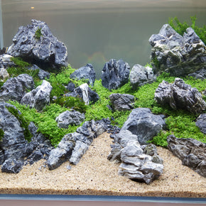 The 9 Best Aquarium Rocks 🤘 