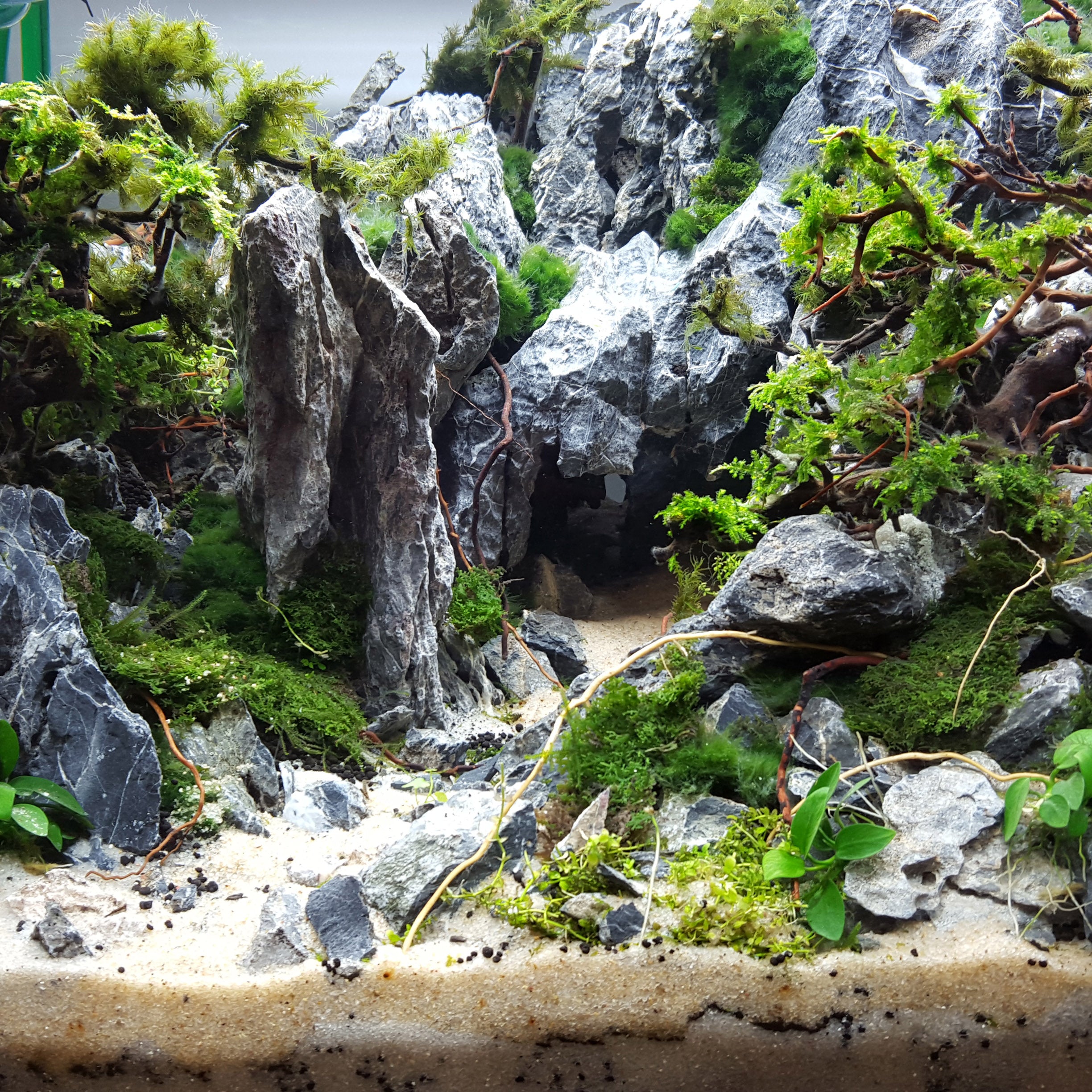 LANDEN Seiryu Stones Natural Rocks (17lbs, 3~11 inches,7-8pcs) for  Aquarium, Paludarium, Terrariums, Landscaping Rocks, Aquascaping