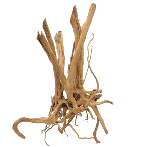 Spiderwood Tree Stump