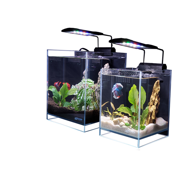 Lifegard Aquatics - Aquariums, Aquascape Materials & Awesome Equipment
