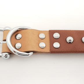 Brown Leather Dog Collar with Single Line of Silver Chrome Buttons - Tan - Medium